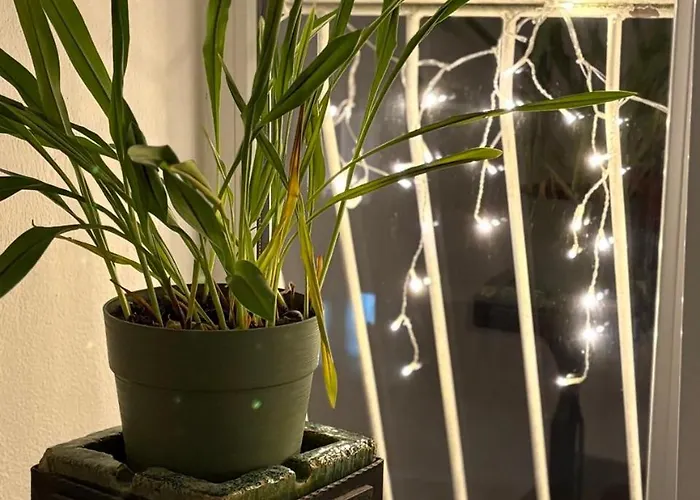 уютная рядом с центром бургаса アパート