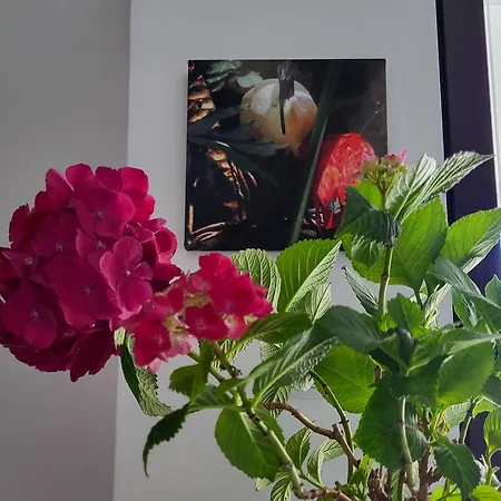 Apartment уютная рядом с центром бургаса Burgas