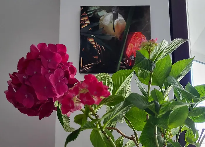 Apartamento уютная рядом с центром бургаса Burgas